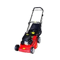 Lawn mower 2025 home delivery